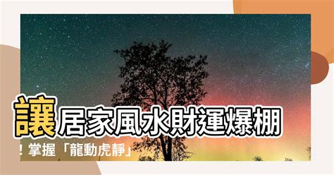 龍動虎靜|【龍動虎靜】讓居家風水財運爆棚！掌握「龍動虎靜」。